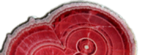 Rhodochrosit – Naturstein online kaufen