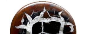 Septarien – Naturstein online kaufen