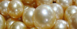 Perle