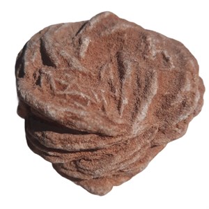 Barytrose250112