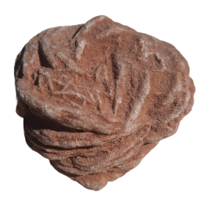 Barytrose250112