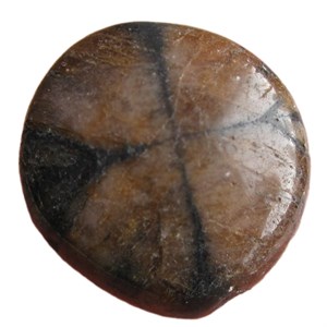 Chiastolith250192
