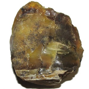 Opal250119