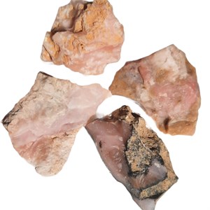 Rosa_Opal250128