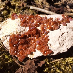 Vanadinit250167_2