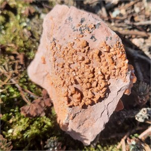 Vanadinit250167_3